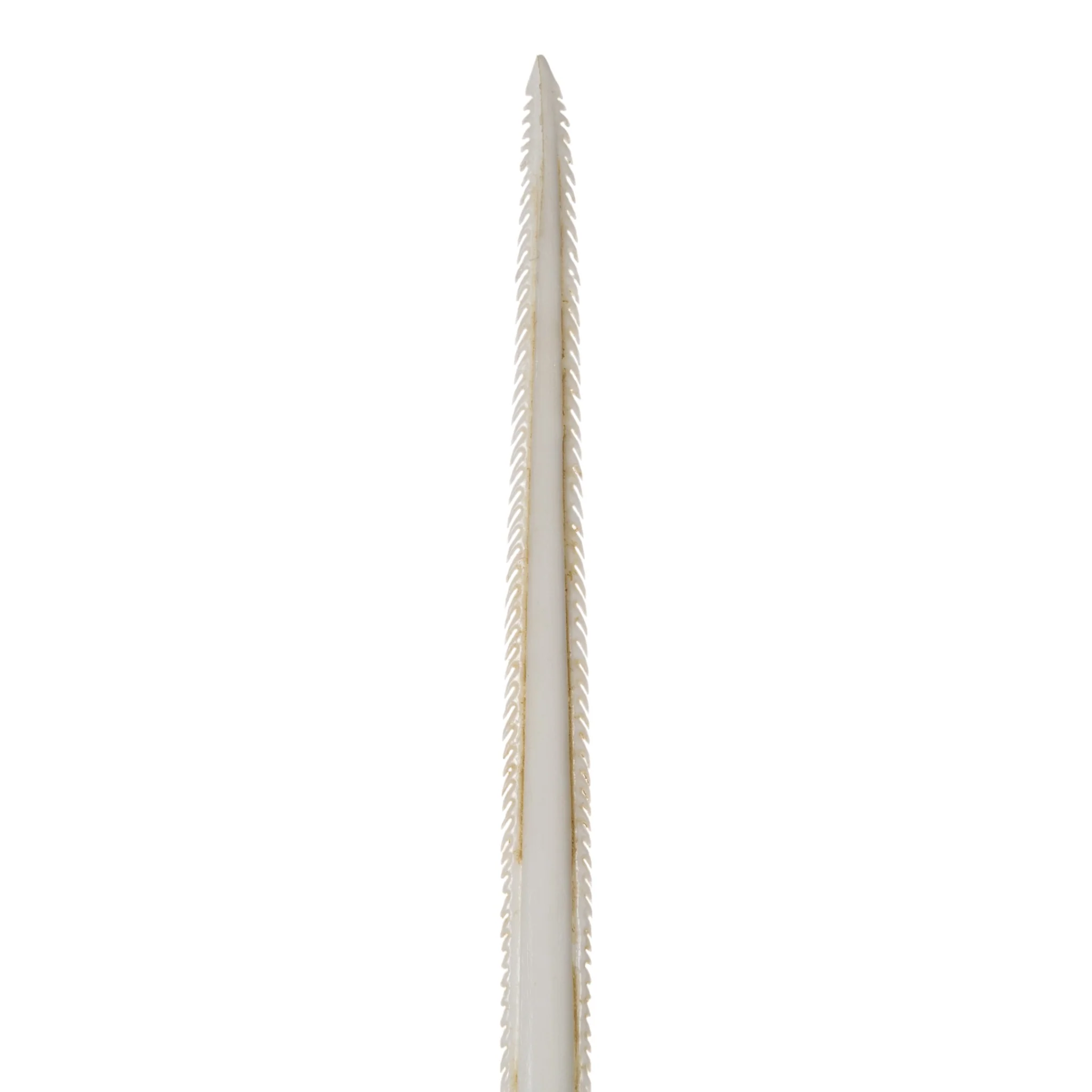 Replica Stingray Tail Spine