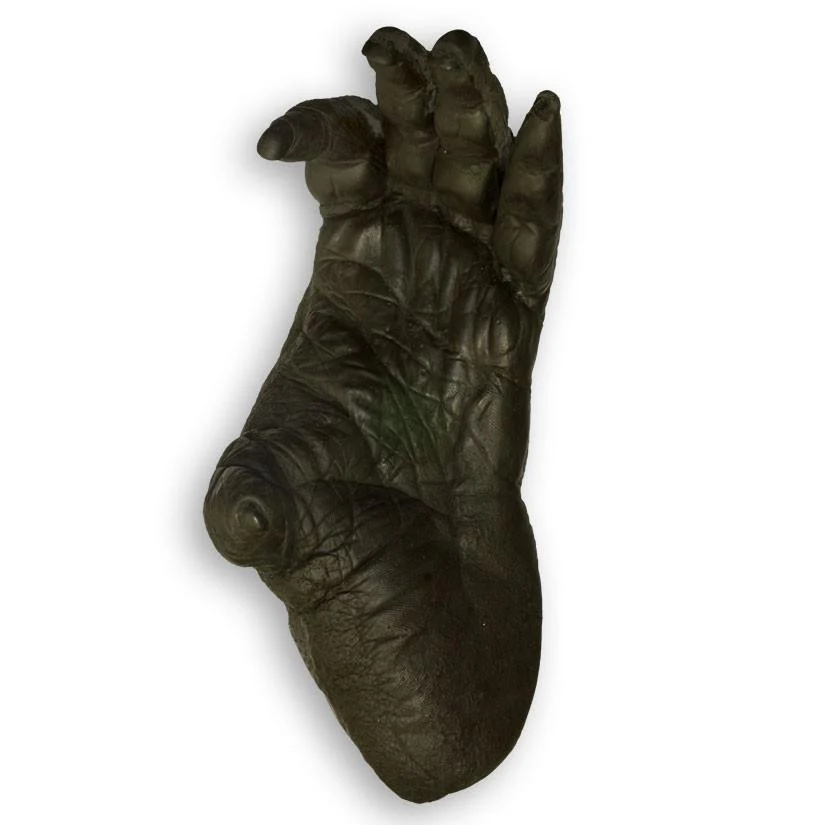 Replica Sumatran Orangutan Left Foot - Male