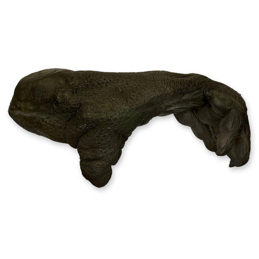 Replica Sumatran Orangutan Left Foot - Male - Image 3
