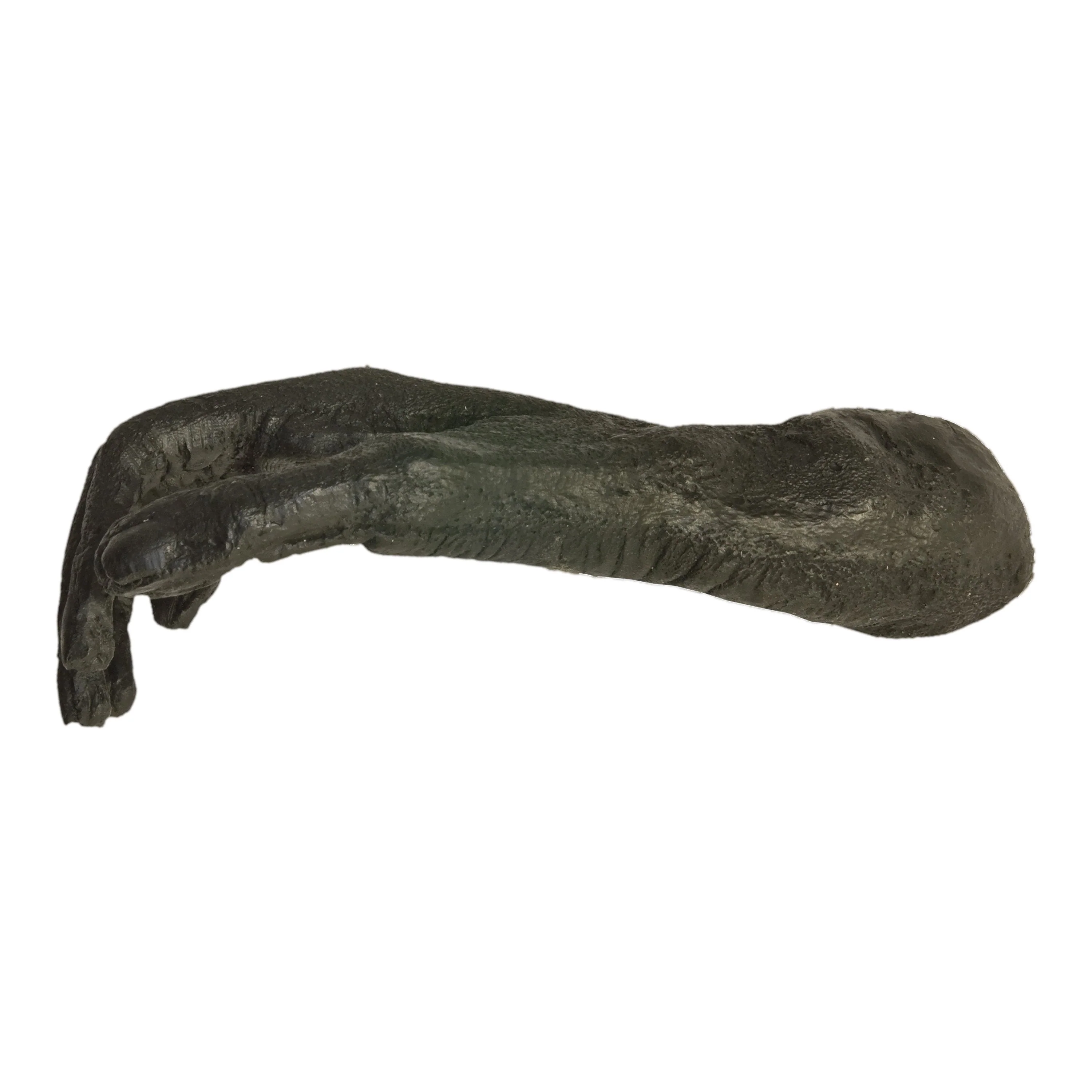 Replica White-handed Gibbon Foot - Image 2