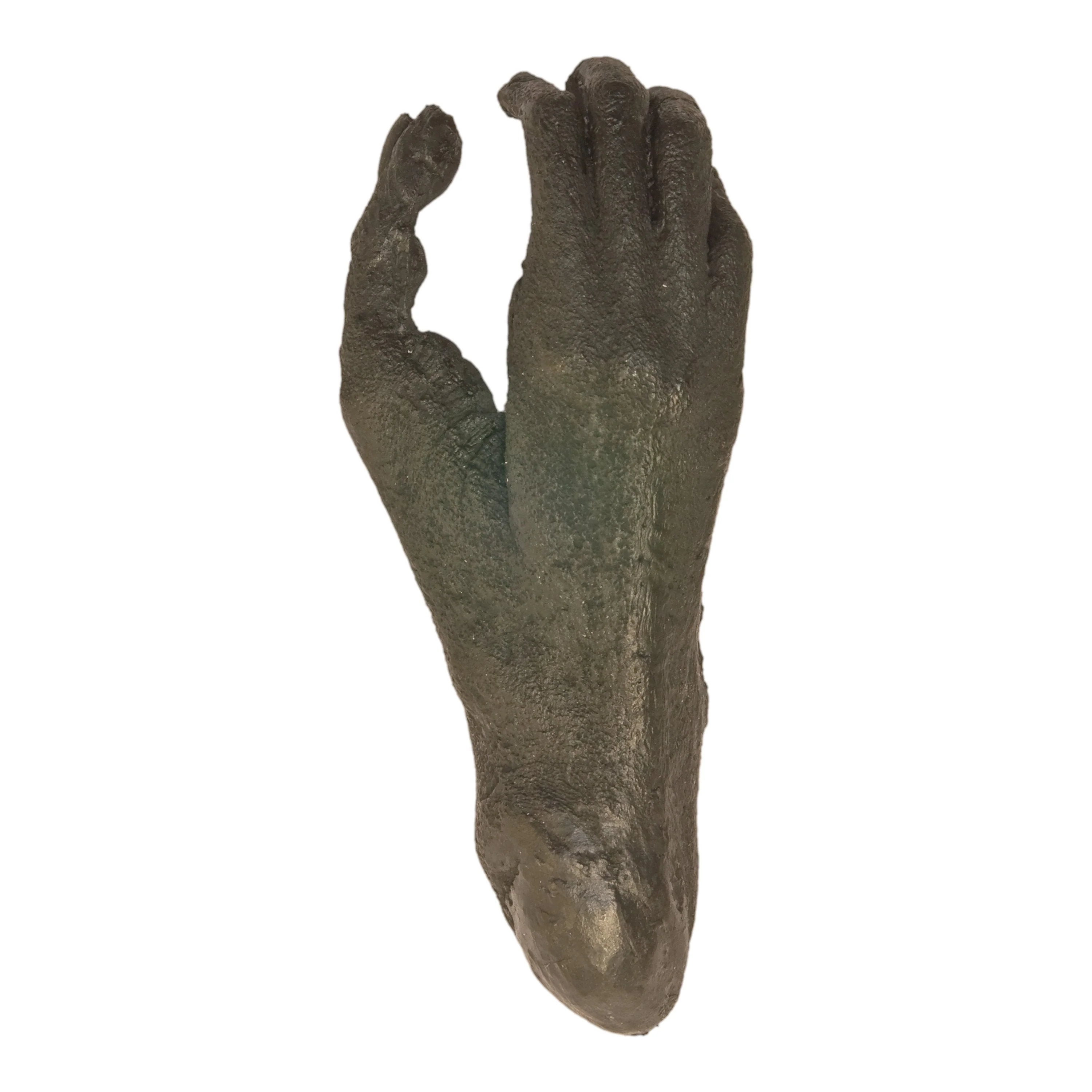 Replica White-handed Gibbon Foot - Image 3