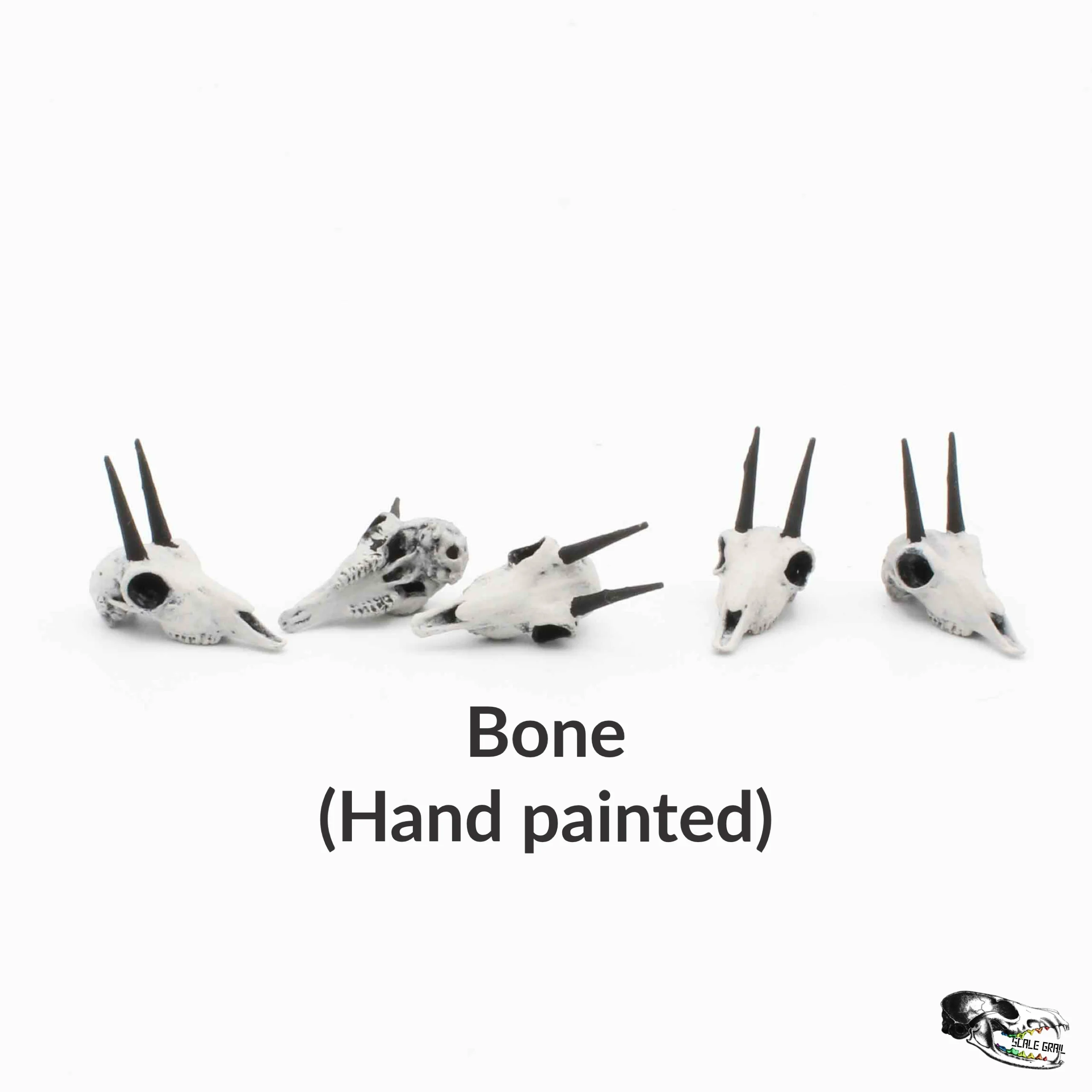 Rhebok Skull Replica - 1:12 Scale (Set of 5) - Image 3