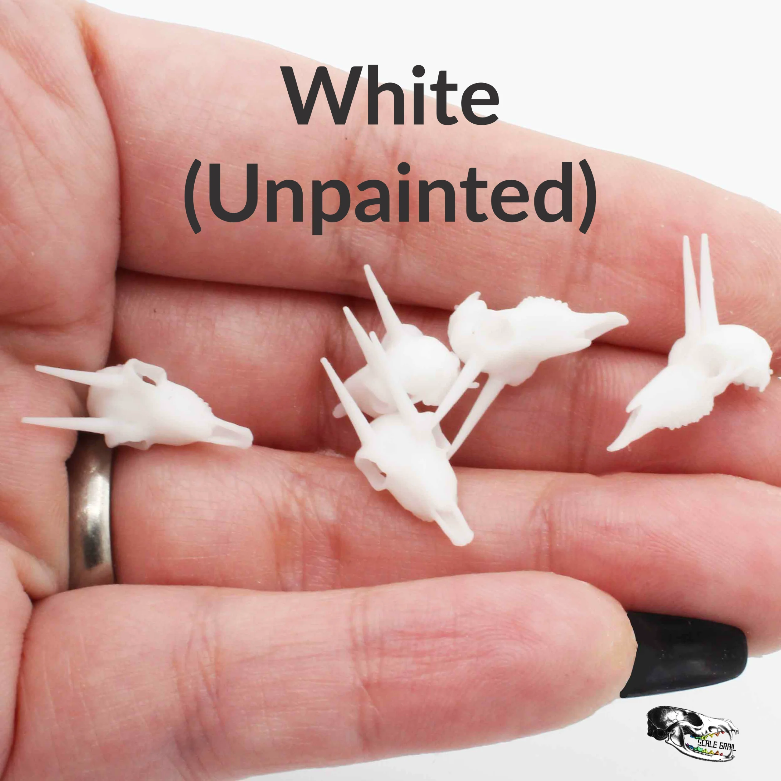 Rhebok Skull Replica - 1:12 Scale (Set of 5) - Image 5