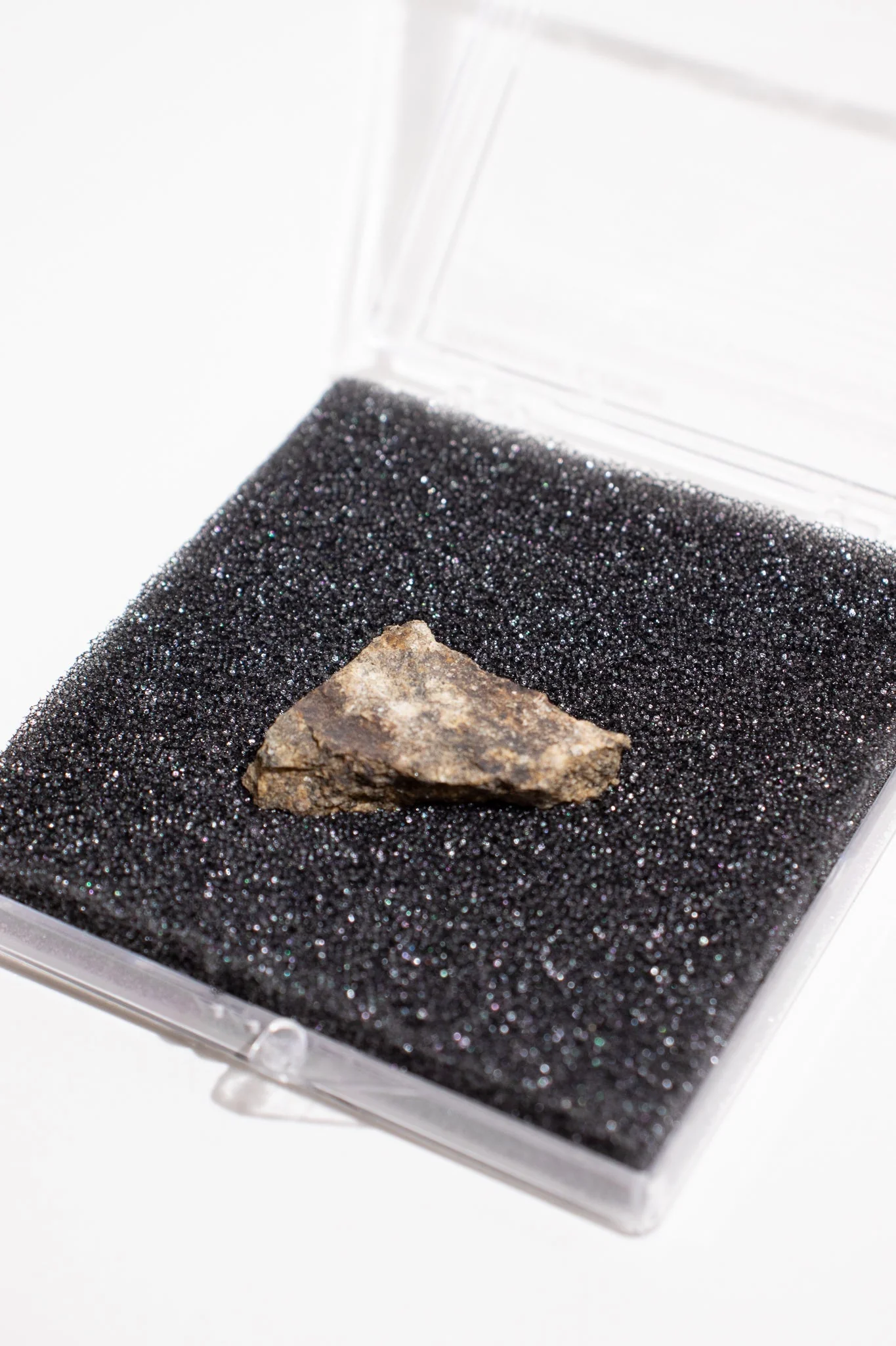 Shatter Cone Geological Specimen - Image 3