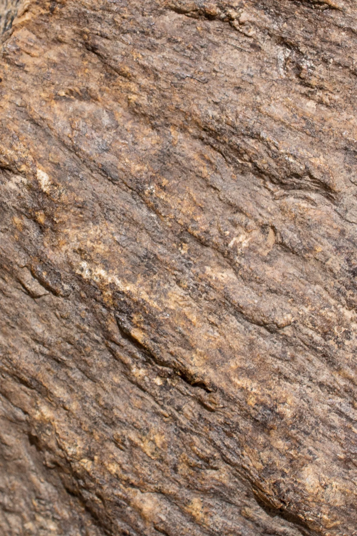 Shatter Cone Geological Specimen - Image 6