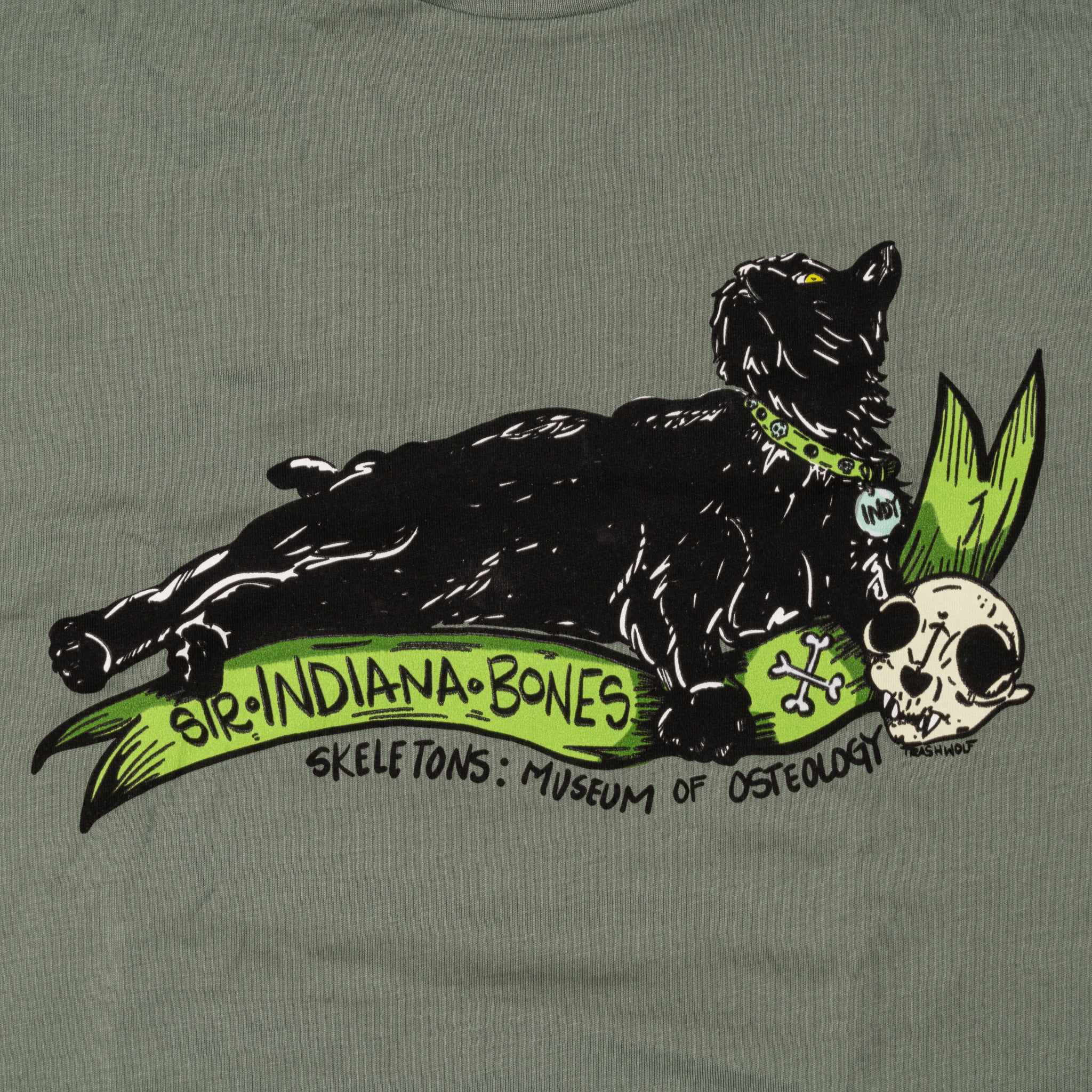 Sir Indiana Bones with Cat Skull T-Shirt - Sage Green - Image 3