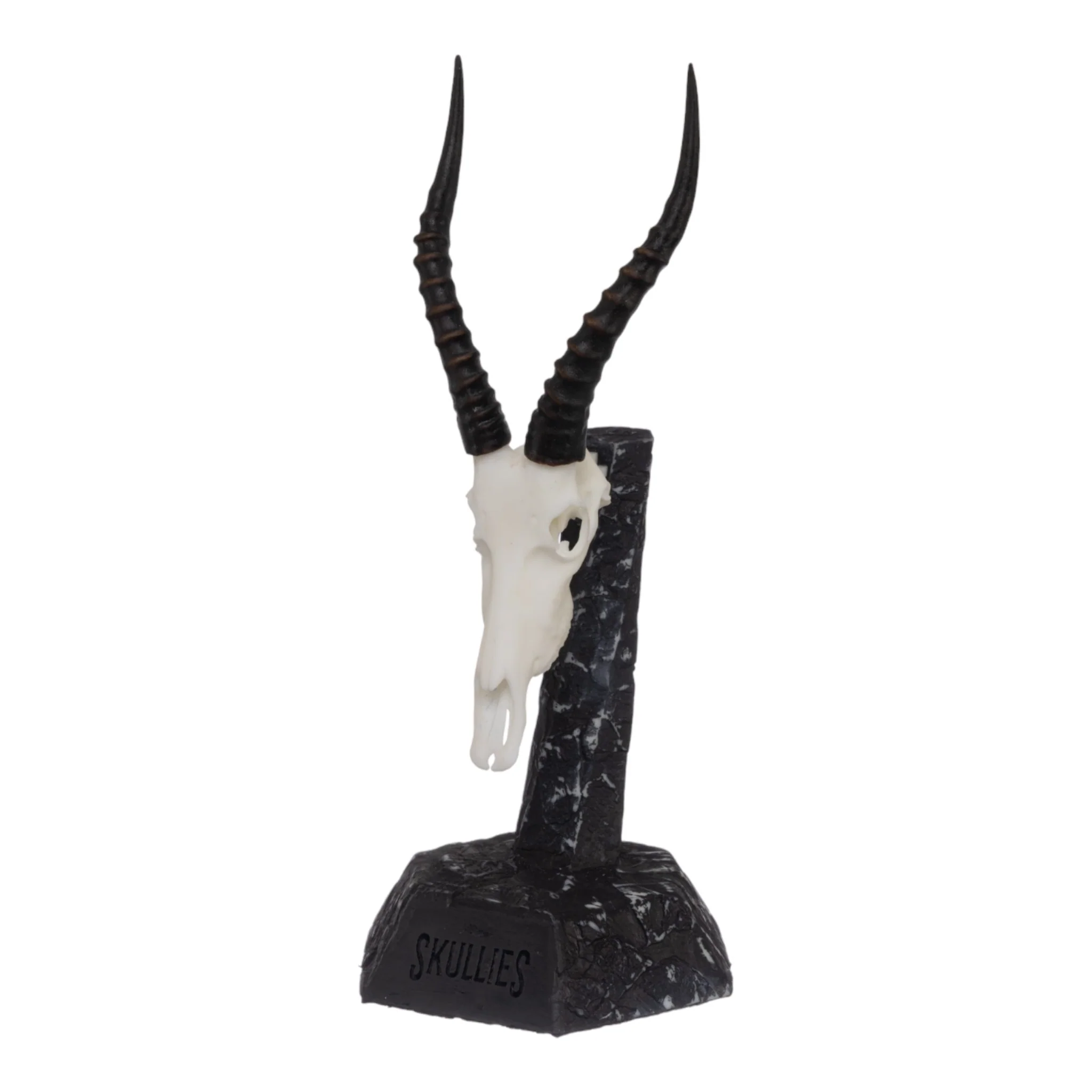SKULLIES - Miniature Blesbok Skull - Image 2