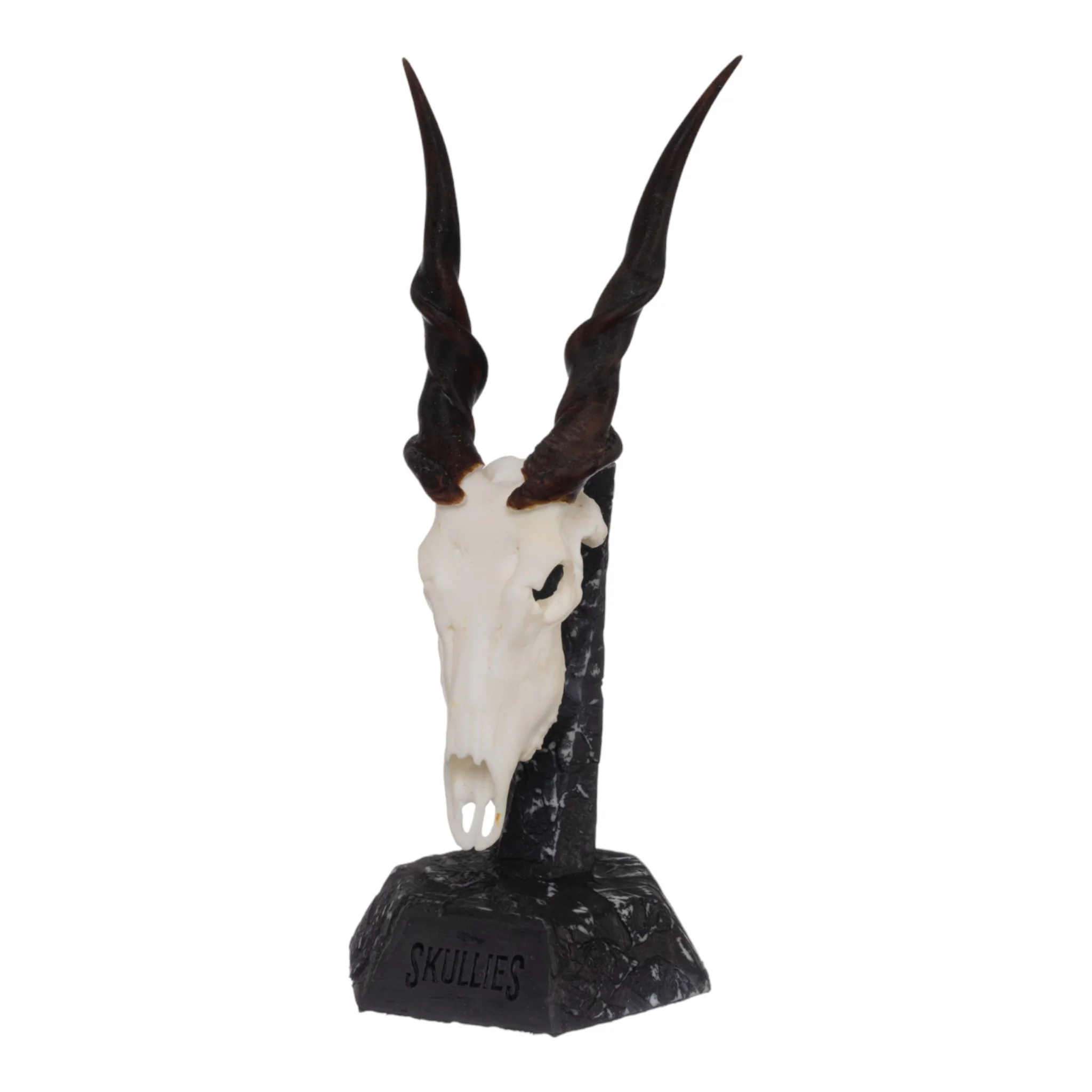 SKULLIES - Miniature Eland Skull - Image 2