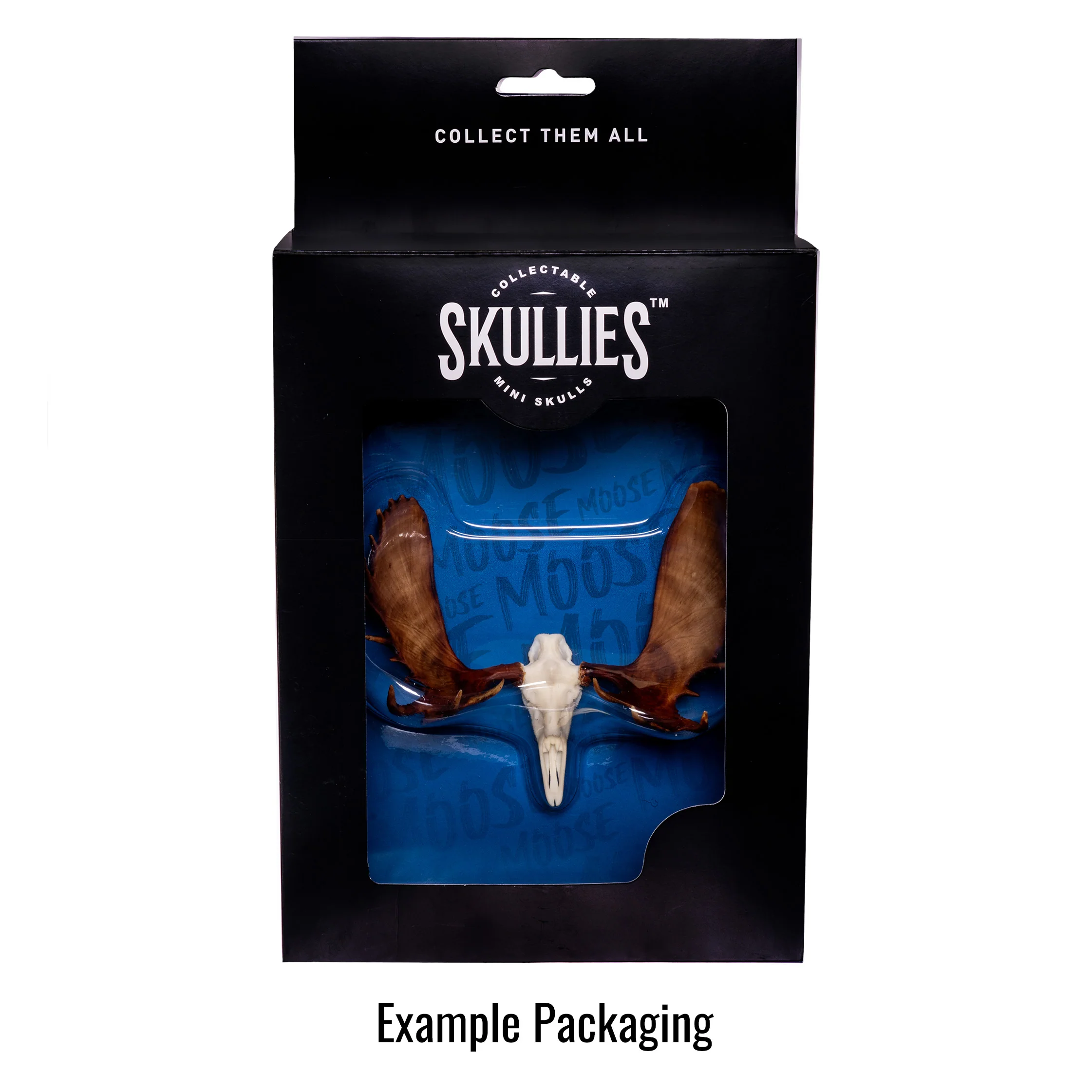 SKULLIES - Miniature Leopard Skull - Image 7