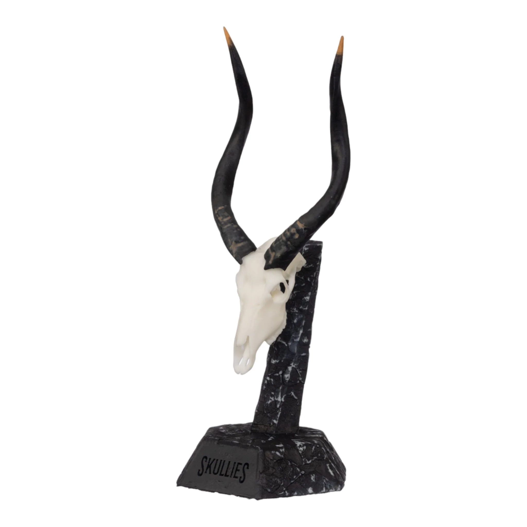 SKULLIES - Miniature Nyala Skull - Image 2