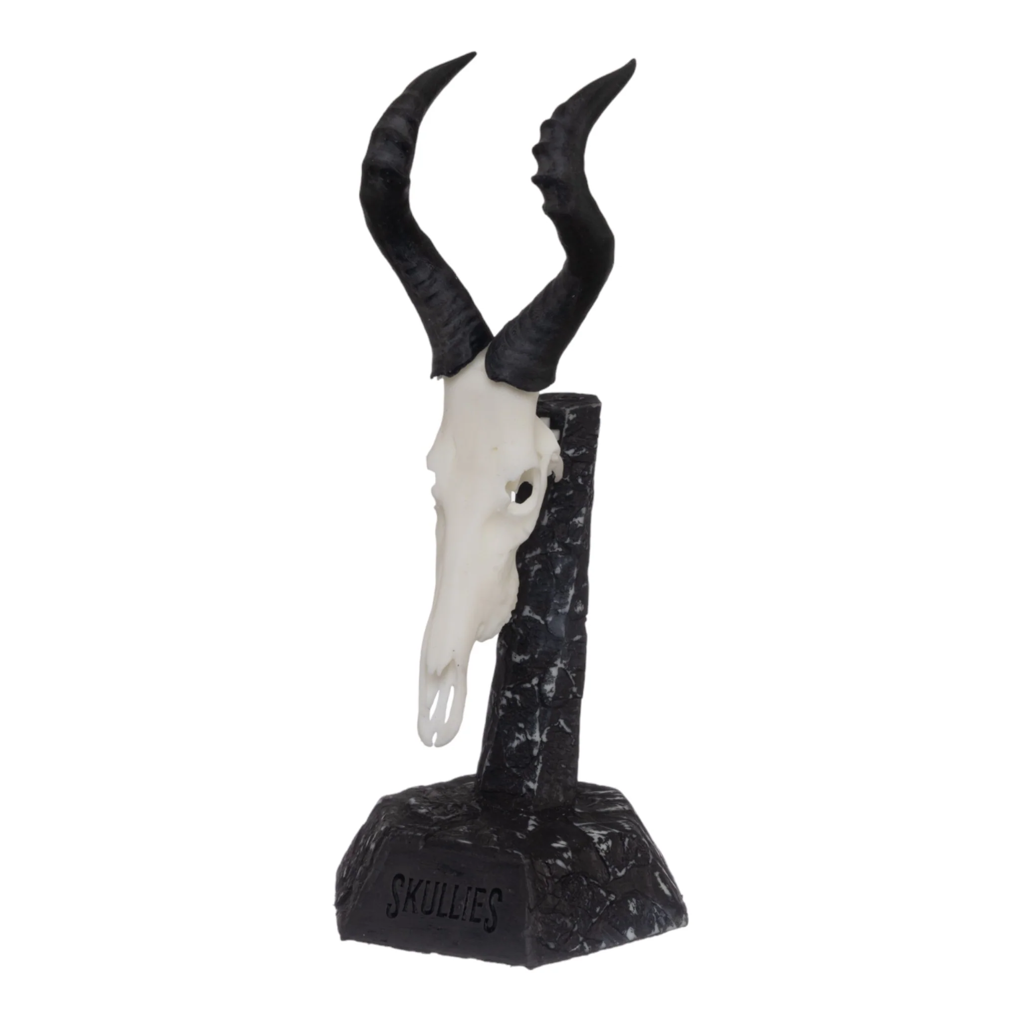 SKULLIES - Miniature Red Hartebeest Skull - Image 2