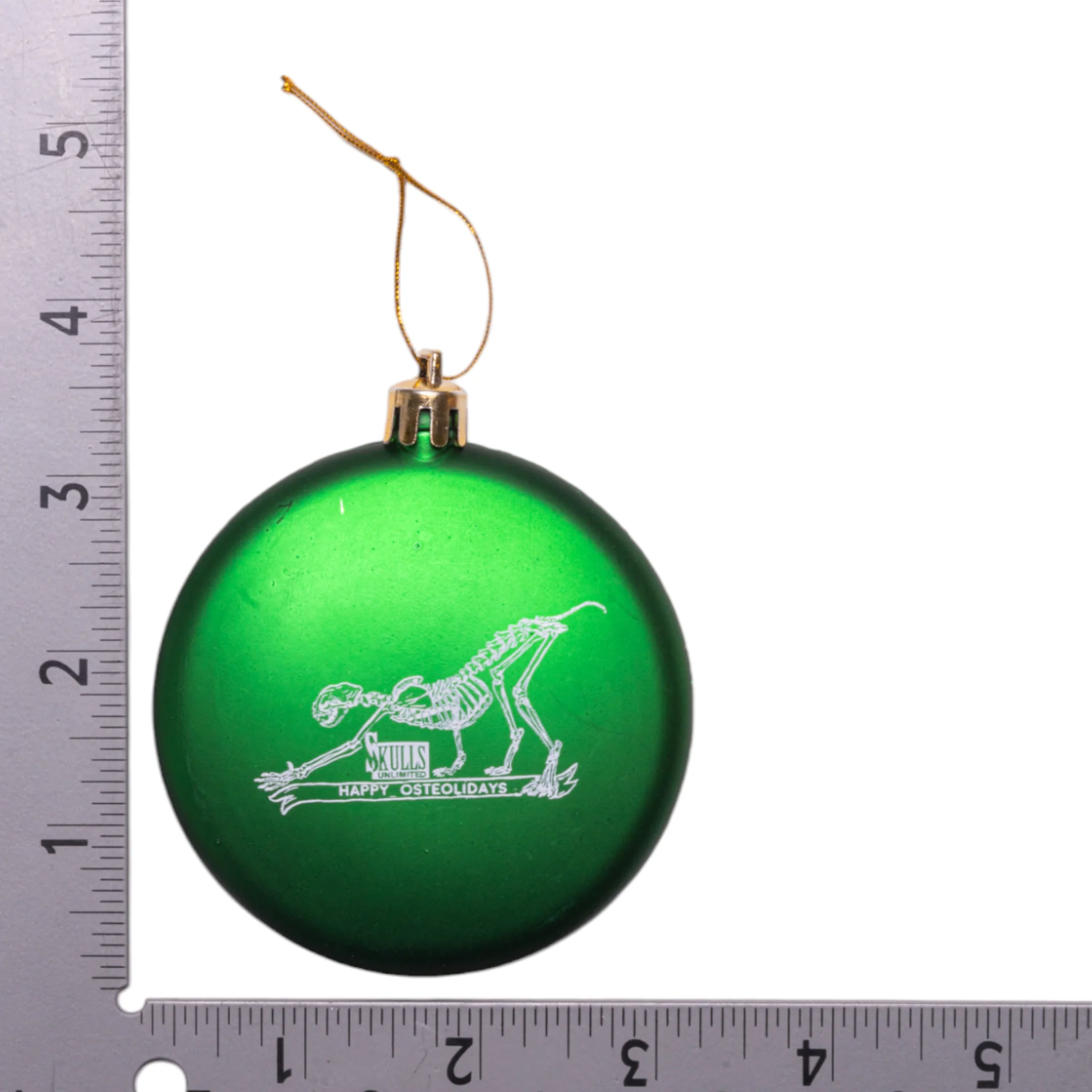 Skulls Unlimited Wild Cat Skeleton Ornament - Image 3