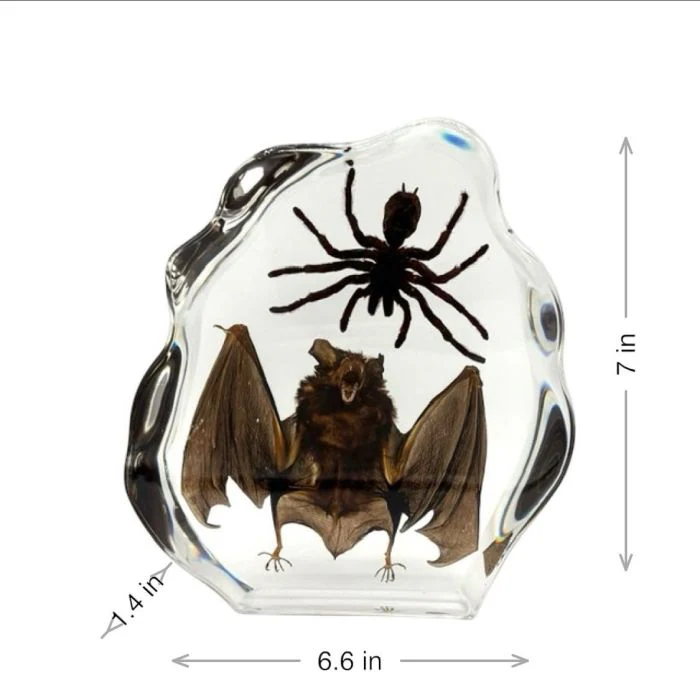 Real Tarantula & Bat in Acrylic - Image 2