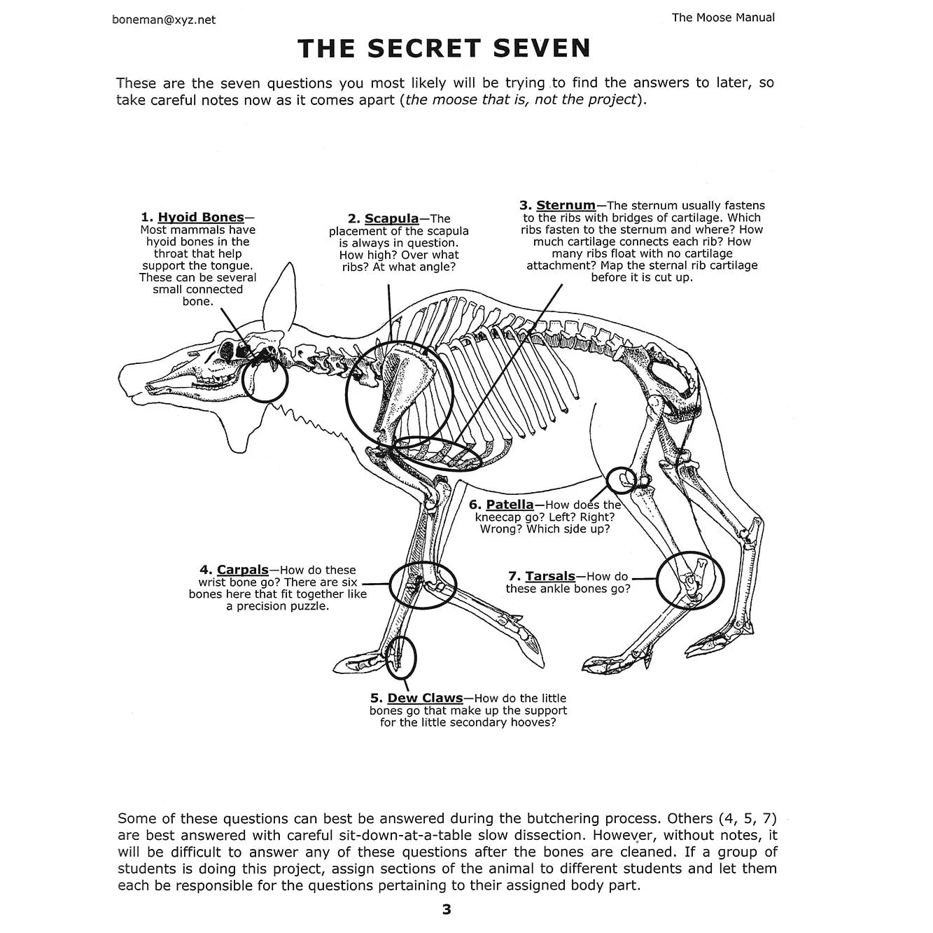 The Moose Manual Book (Vol. 6) - Image 4