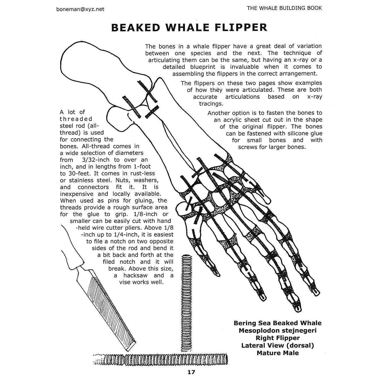 The Whale Building Book (Vol. 3) - Image 3