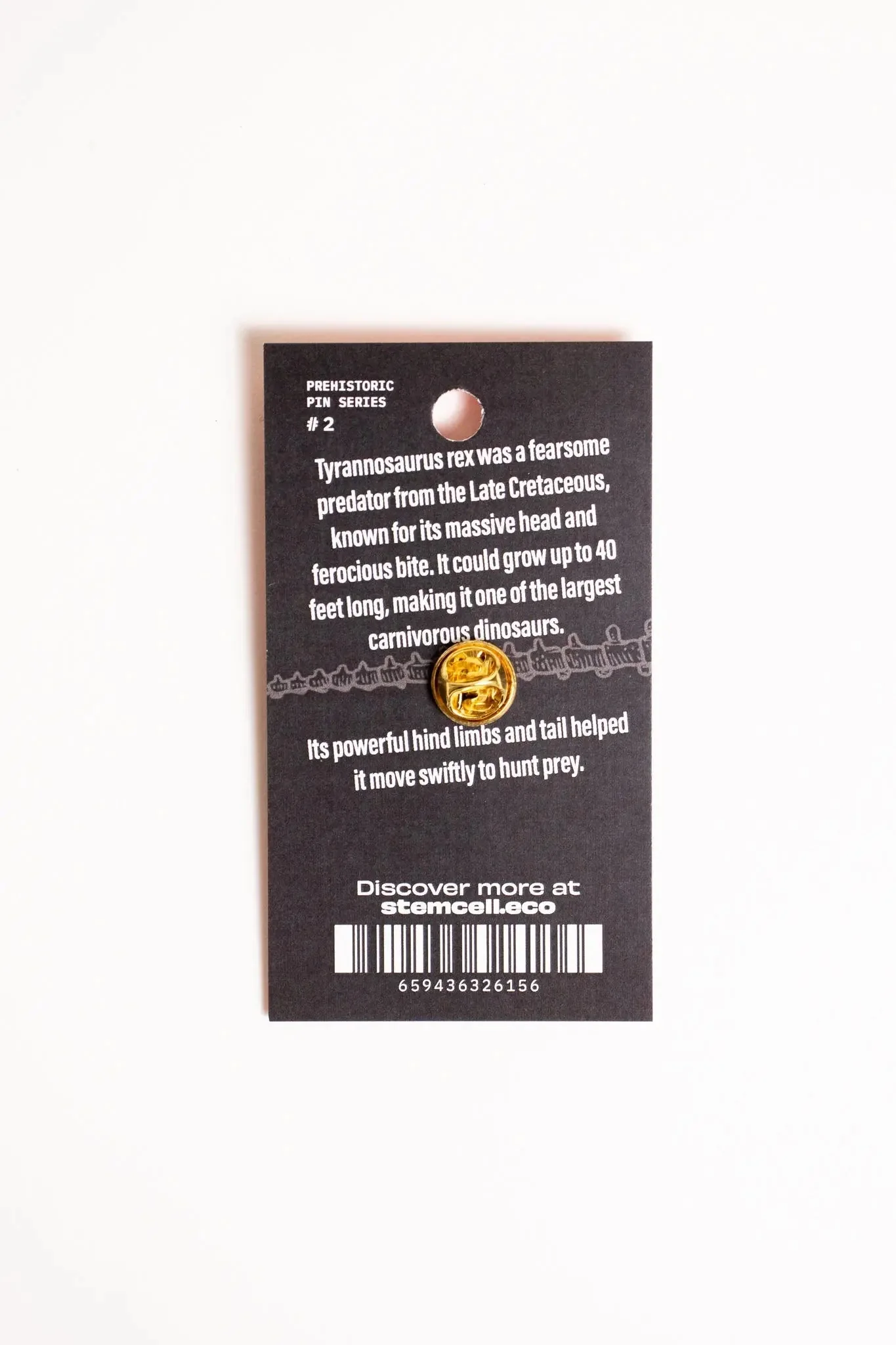 Tyrannosaurus Rex Enamel Pin - Image 6