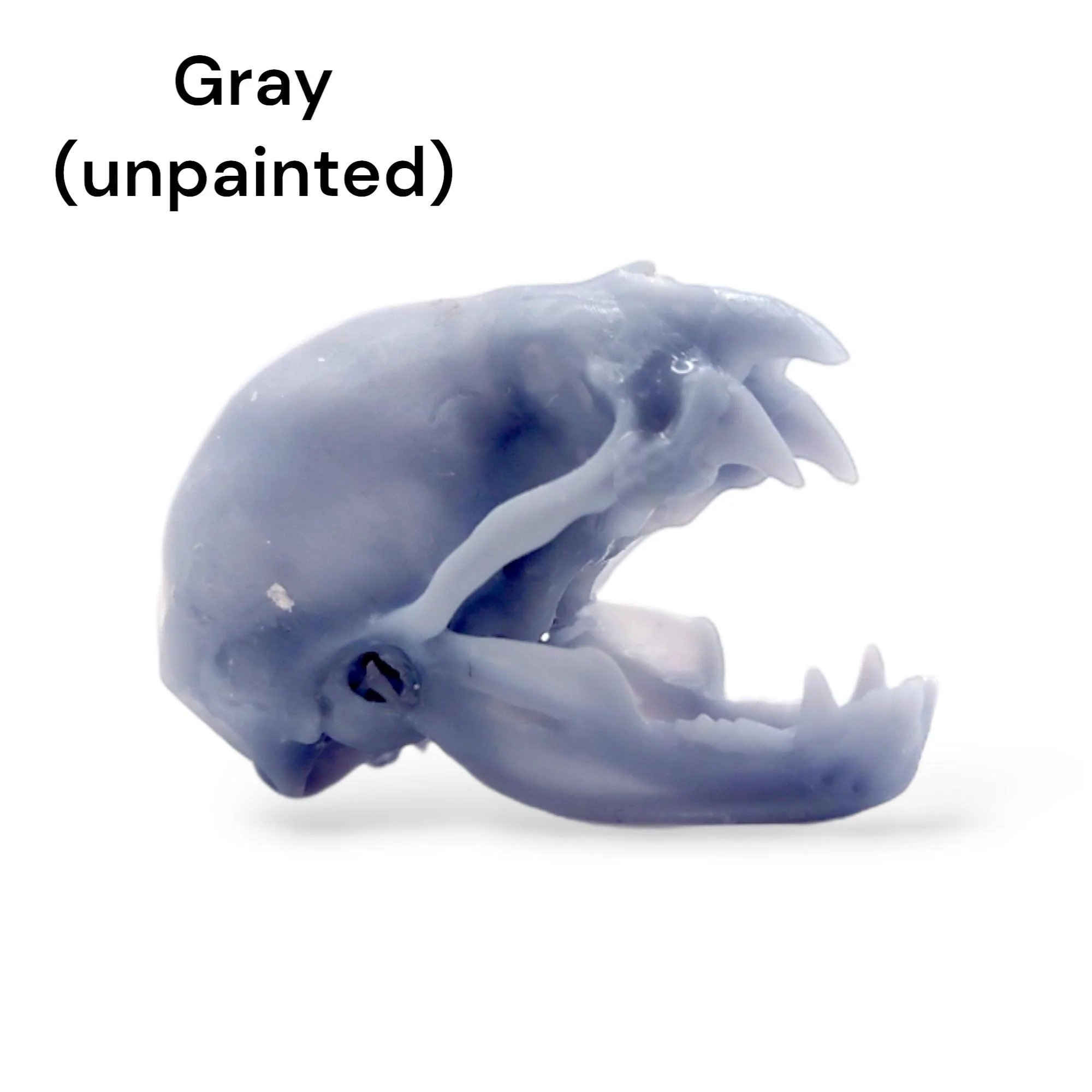 Vampire Bat Skull Replica - 1:1 Scale - Image 5