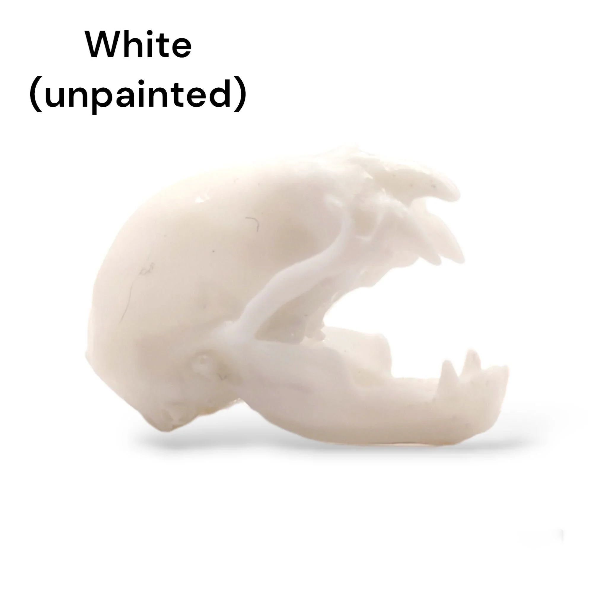 Vampire Bat Skull Replica - 1:1 Scale - Image 6
