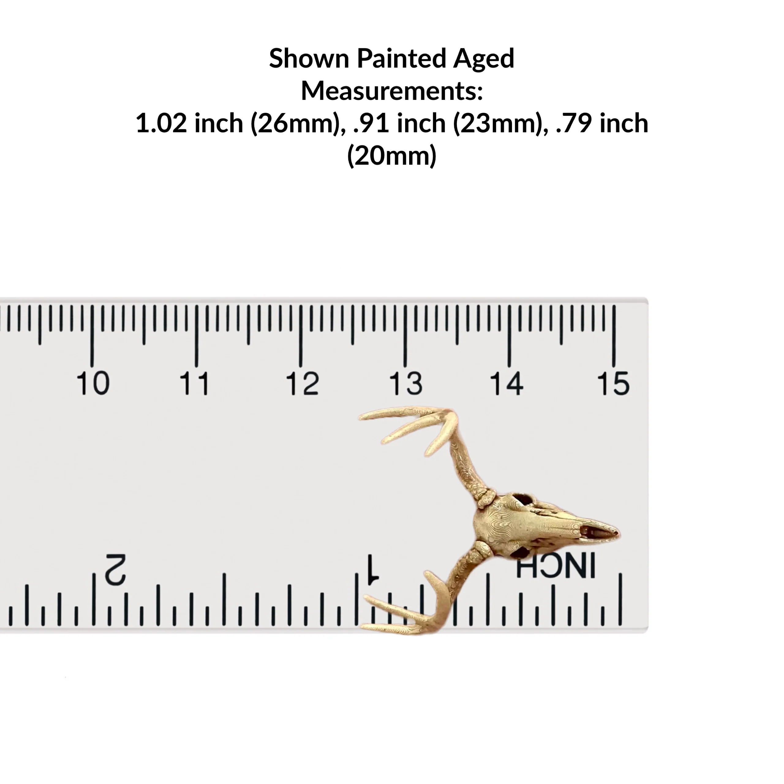 White-Tailed Deer Skull Replica - 1:24 Scale - Image 2