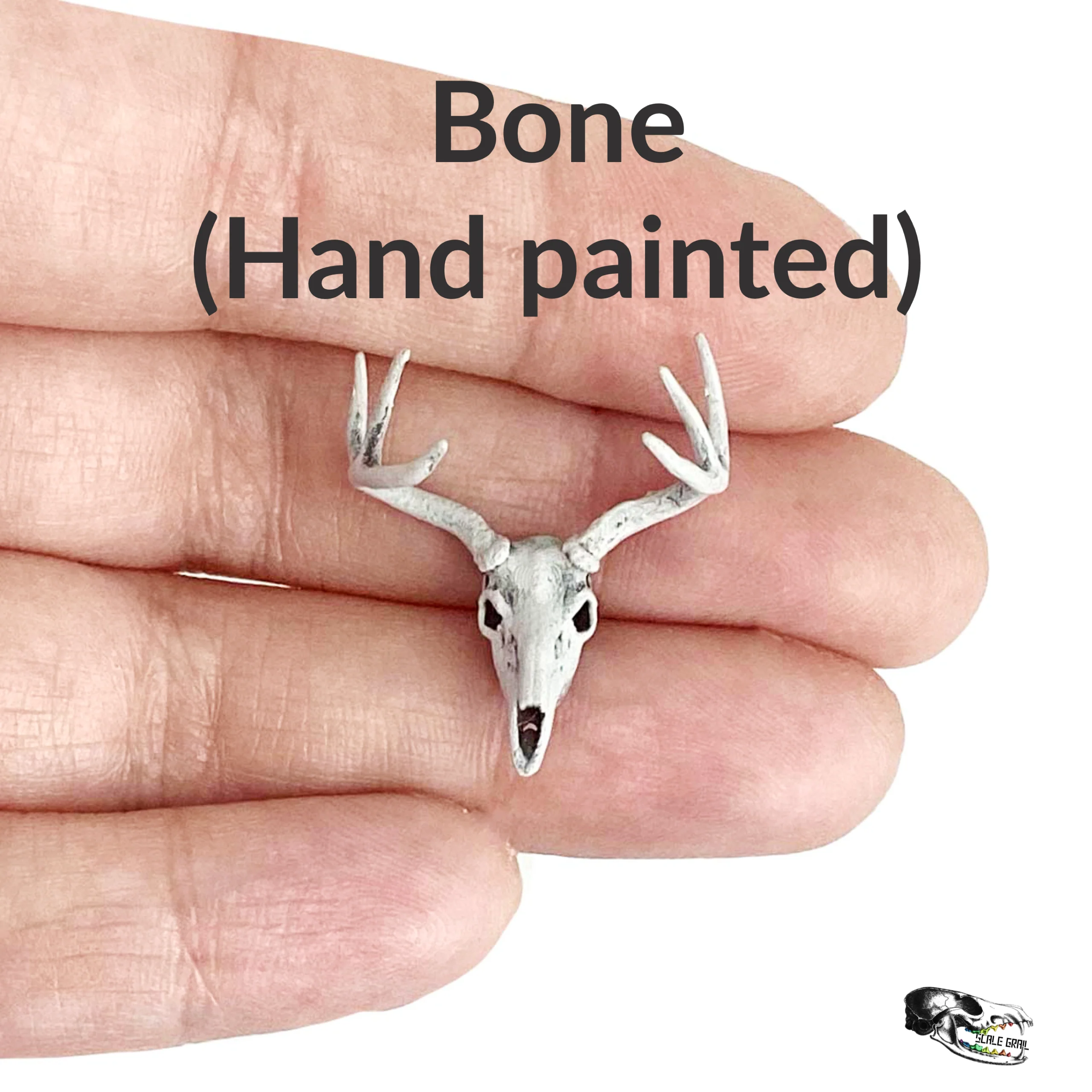 White-Tailed Deer Skull Replica - 1:24 Scale - Image 3