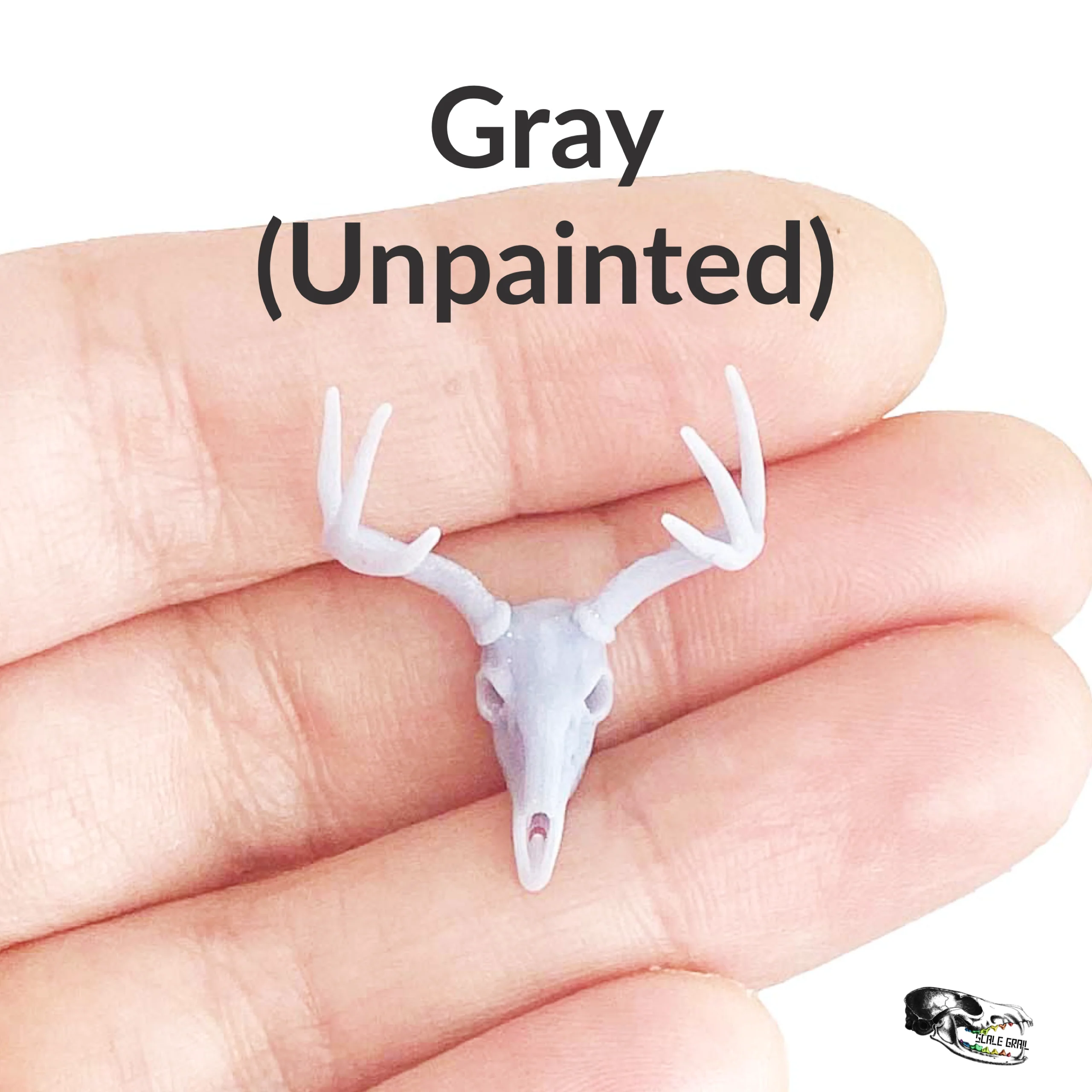 White-Tailed Deer Skull Replica - 1:24 Scale - Image 5