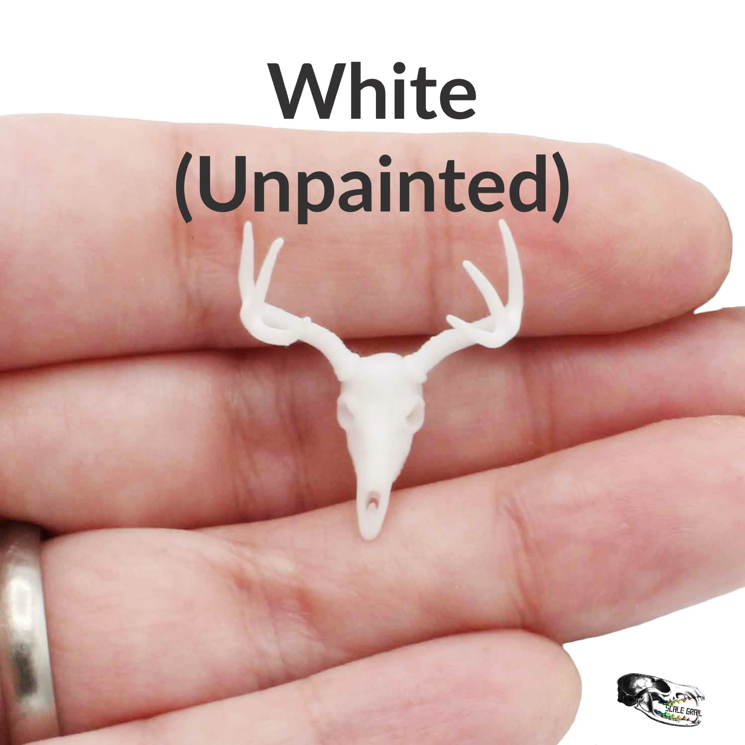 White-Tailed Deer Skull Replica - 1:24 Scale - Image 6